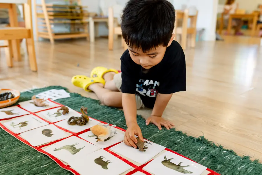 La curiosidad natural del niño es el motor de todo proceso educativo, siendo capaz de asimilar conocimientos de su entorno sin esfuerzo.